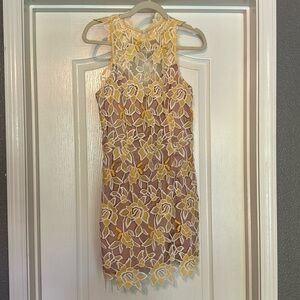 Floral lace overlay dress.